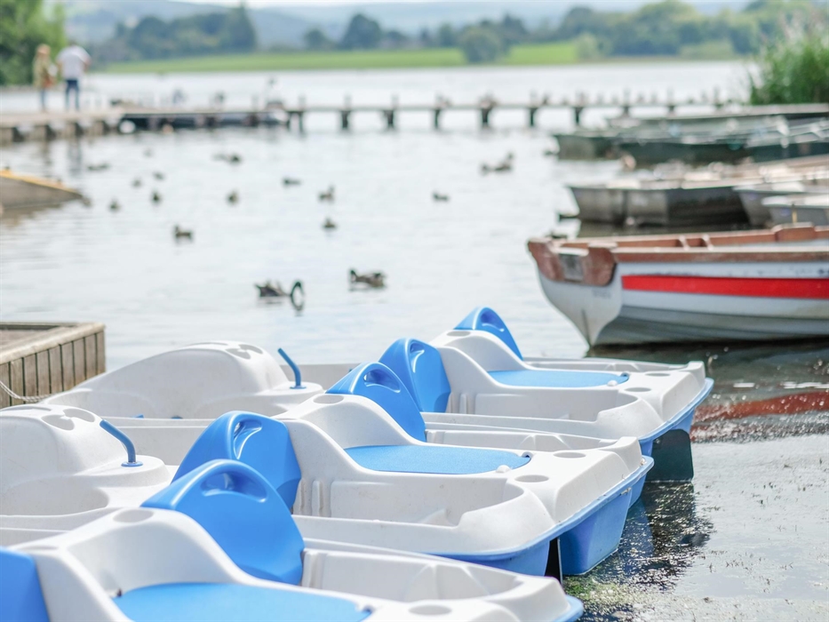 Pedaloes and fishing boats