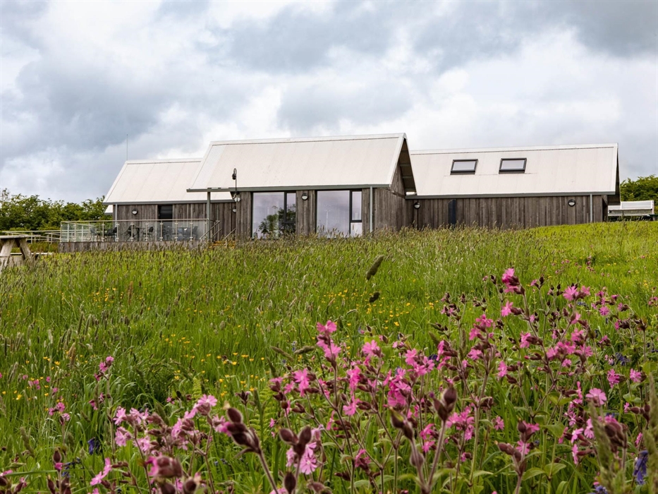 Llys Y Fran Lakeview Campsite