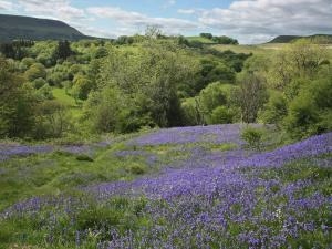 Silent Valley Local Nature Reserve