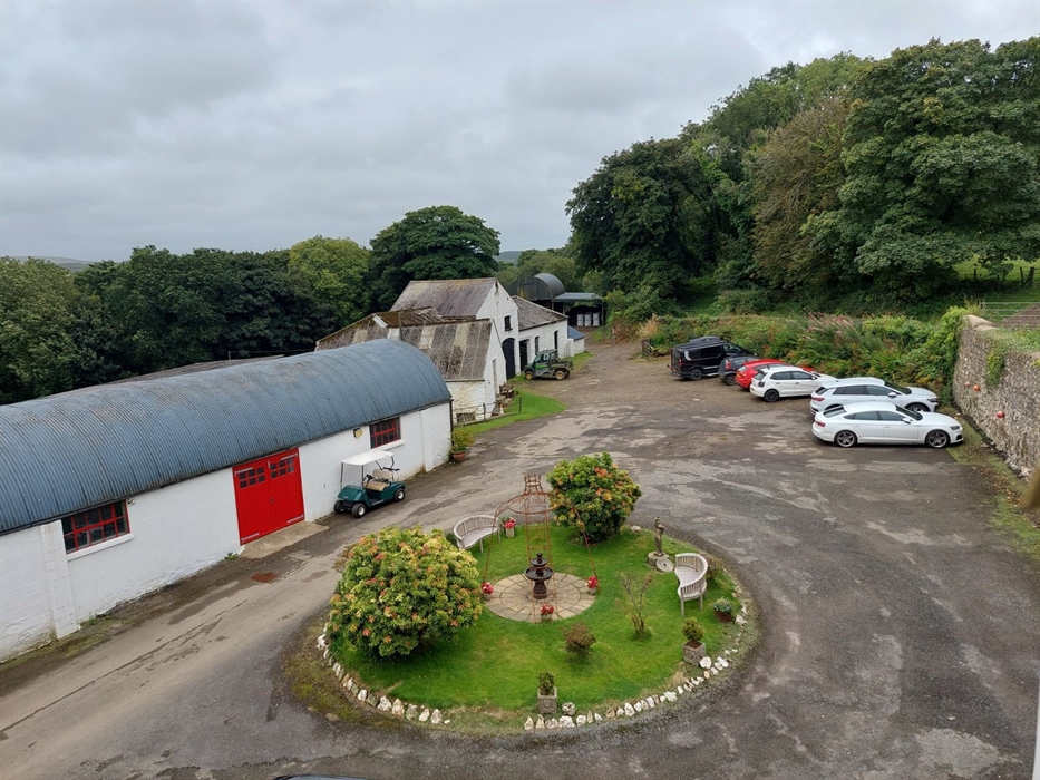 When you arrive at Priskilly Forest