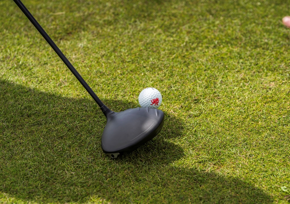 A golf club and golf ball.