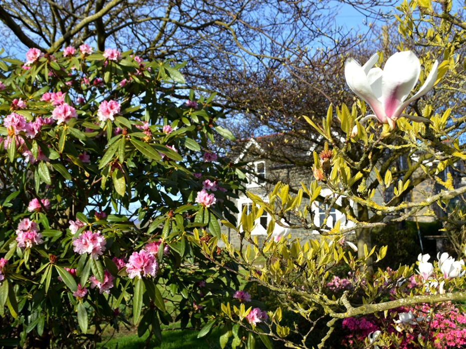 Garden at Hendy Farm Cotages