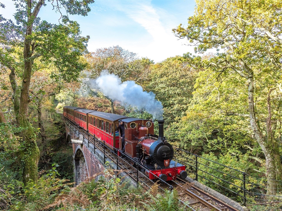 Loco No. 2 'Dolgoch' crosses the viaduct at Dolgoch Falls.  
Pic : Barbara Fuller