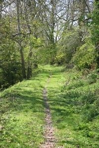 A walk along the old coach drive