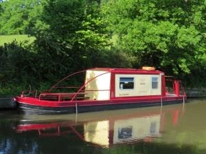 Red Robbin, Rooster, Dragon