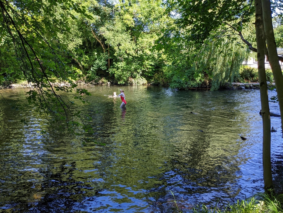 Wild swimming on site
