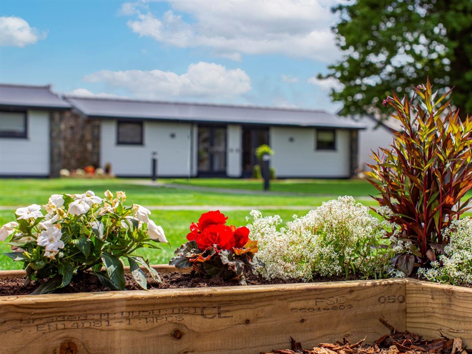 View of single storey holiday lodges with plants and flowers in foreground