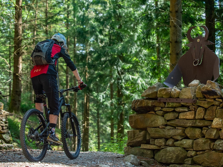 Minotaur Trail Coed y Brenin