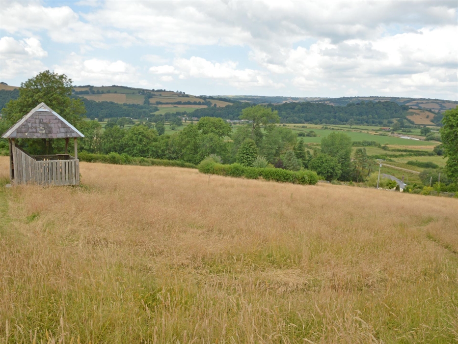 Wild flower meadow with viewing gazebo