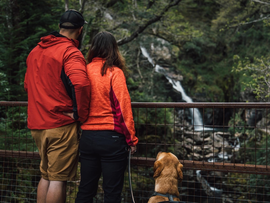 Waterfalls and Goldmines Trail