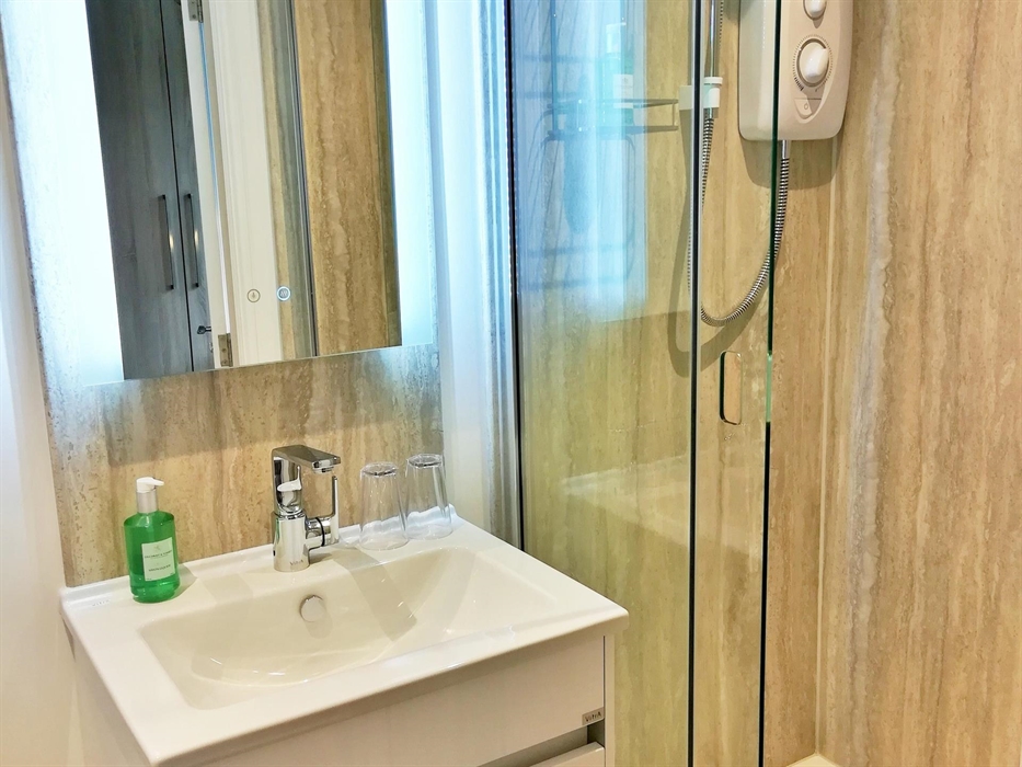 Room 1 - Shower Ensuite