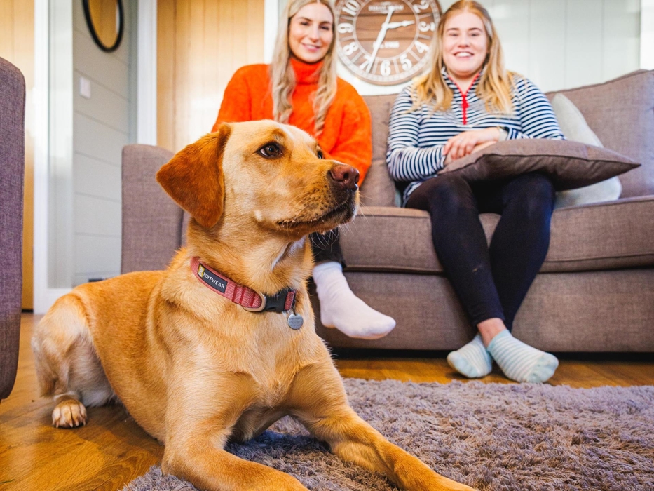Dog sitting on floor in front of two ladies on sofa.
