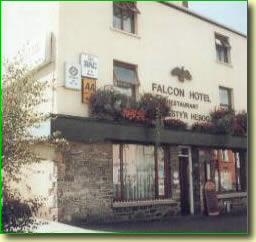 Falcon Hotel