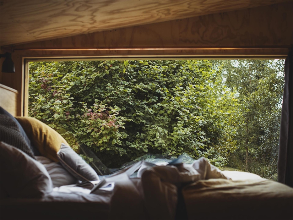 An unmade bed in the foreground (blurred) with a large window in the background with a view to woodland.