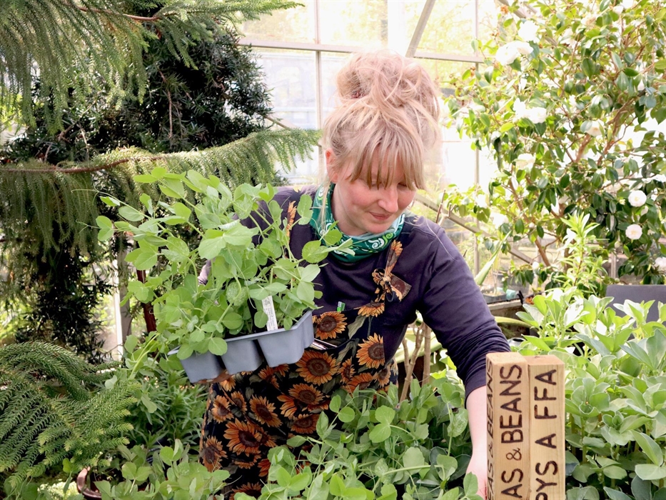 Treborth Botanic Garden