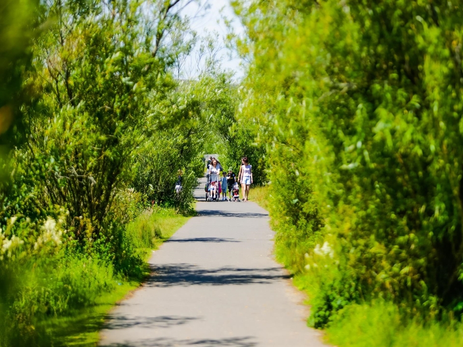 The path around the lake is around a mile in length and completely flat so it's the perfect stroll (or run!), for all ages and abilities.