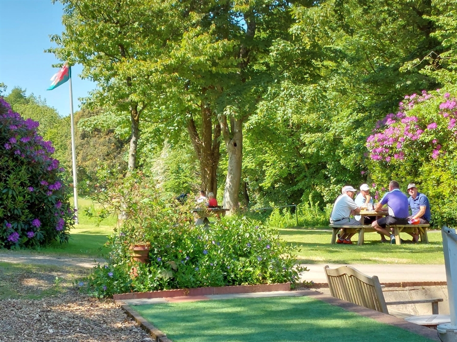 Relax in the lawn with friends