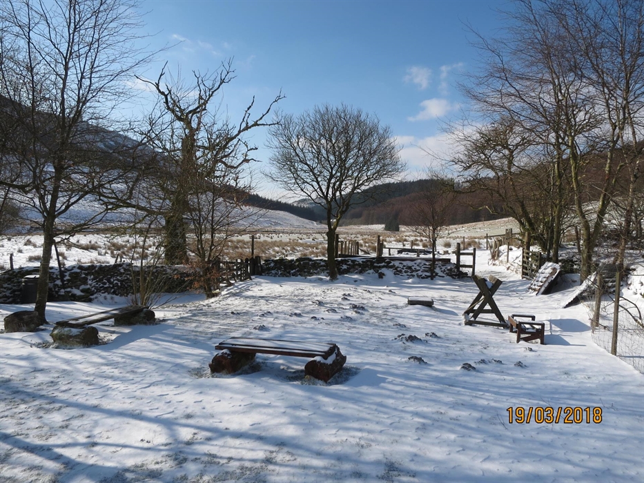 Winter at Dolgoch