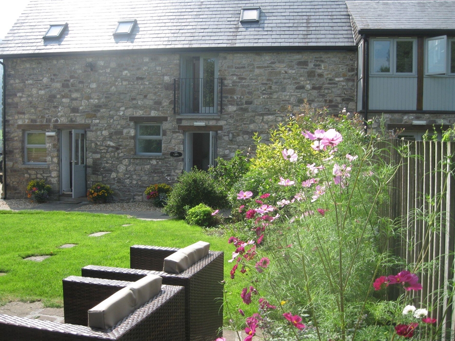 part of garden in summer