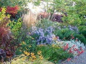 Autumn Glory at Llanover