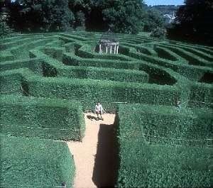 Amazing Hedge Puzzle