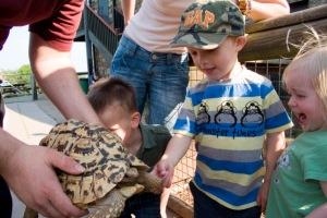 Greenmeadow Community Farm