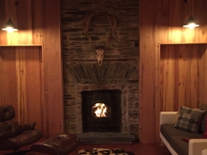 Cosy wood burning stove in the living room