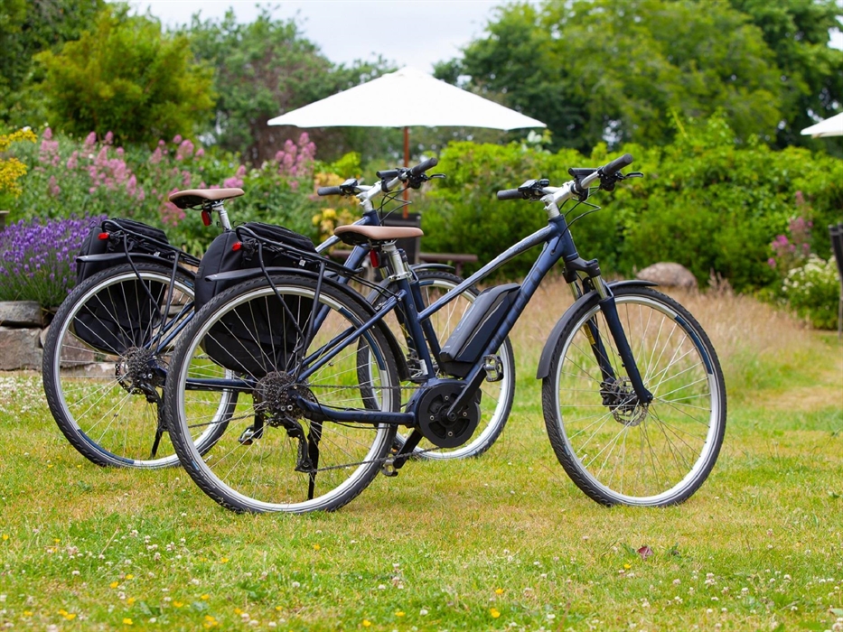 Newport eBike Hire available on site.