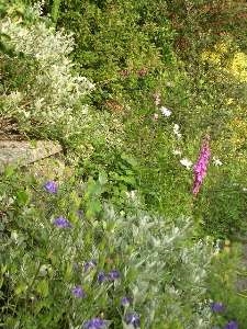 Blaen-nant-y-Groes Farm Cottages