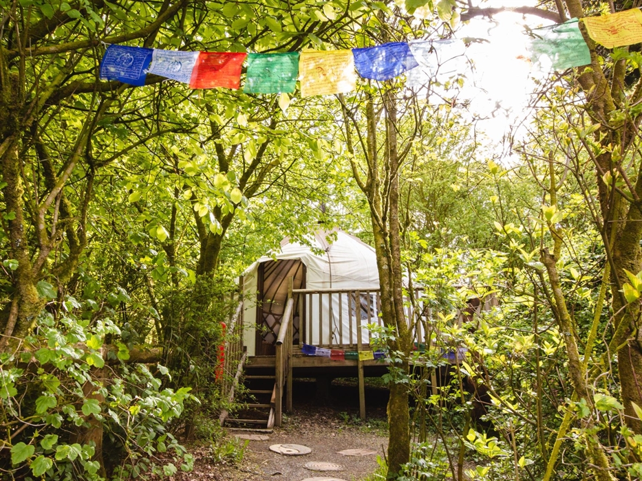 A cosy retreat built on a platform and hidden amongst the trees. Sleeps 4 people. The Bentwood yurt has a wood-burning stove which gives out plenty of