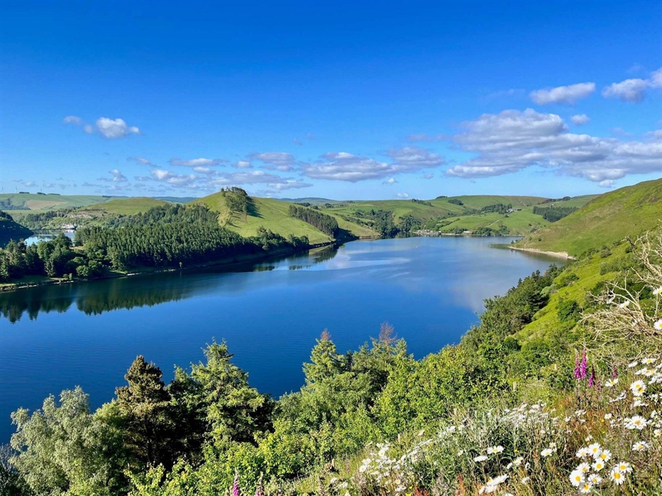 For outdoor enthusiasts, Llyn Clywedog offers a myriad of recreational opportunities. Its shores provide a scenic backdrop for leisurely walks, while