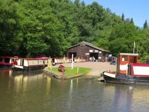 Red Robbin, Rooster, Dragon