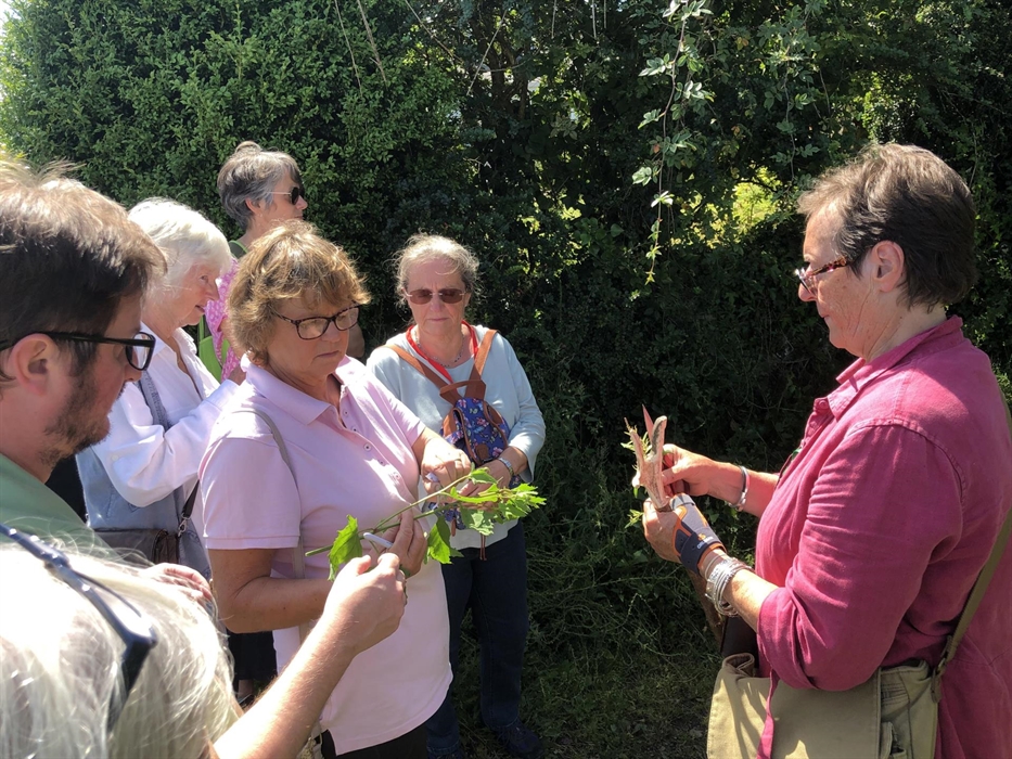 Now, what can I eat and what can I use to improve my skin?