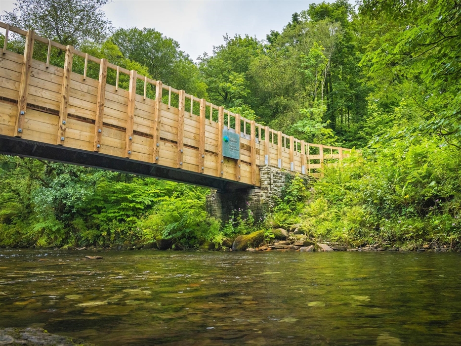 Bridge in Afan Forest Park