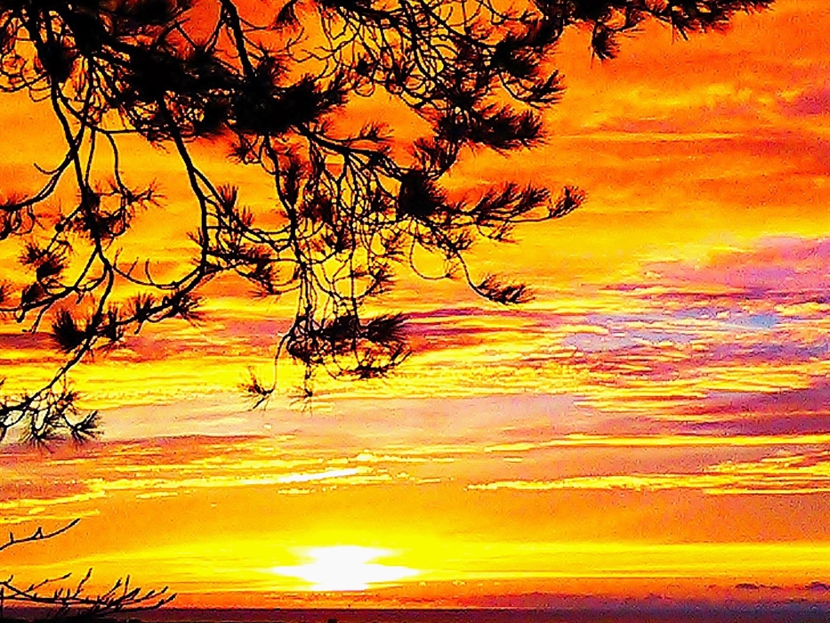 Dine outdoors on your private patio with beautiful sunsets over the sea.