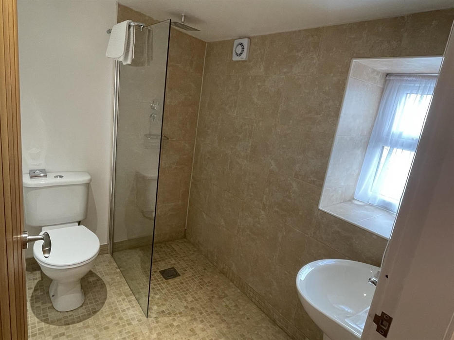 wet-room style en-suite shower room with toilet & sink