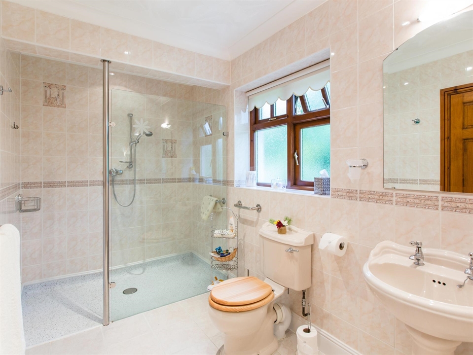 Carn Menyn suite bathroom; walk in shower, toilet, washbasin and external window.
