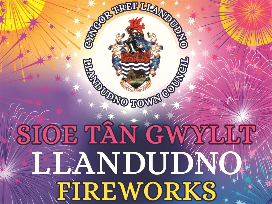 Fireworks Display Poster 2025
