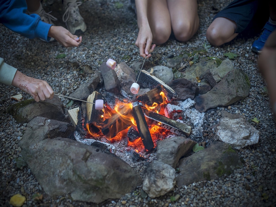 We have campfire areas outside each Tipi and Yurt as well as a communual undercover campfire area. We have locally grown wood on site available to buy
