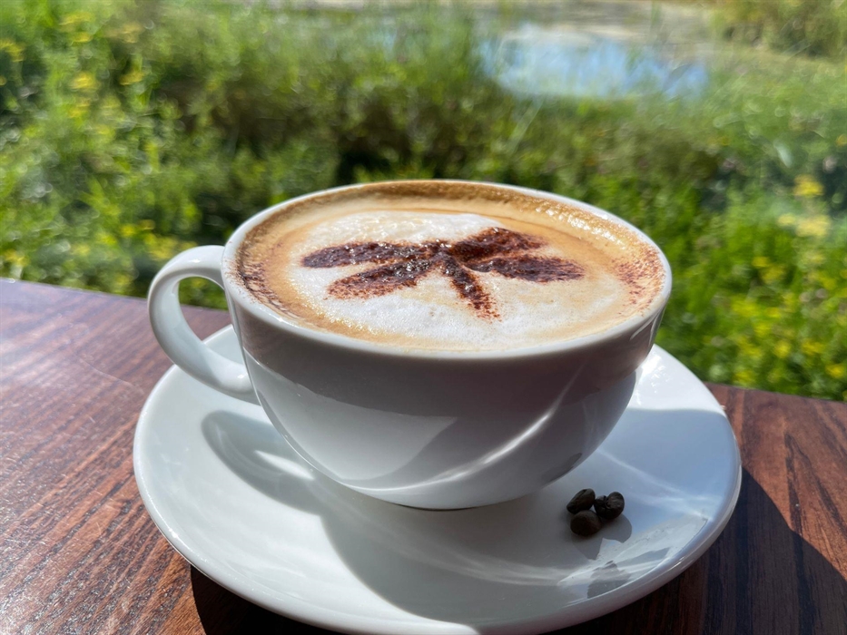 Frothy latte in front of a wetland scene in the sunshine.