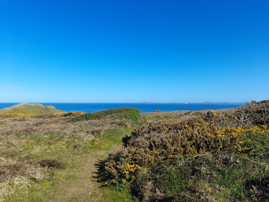 Coast is lovely whatever the weather but when the sun is shining, where else would you want to be