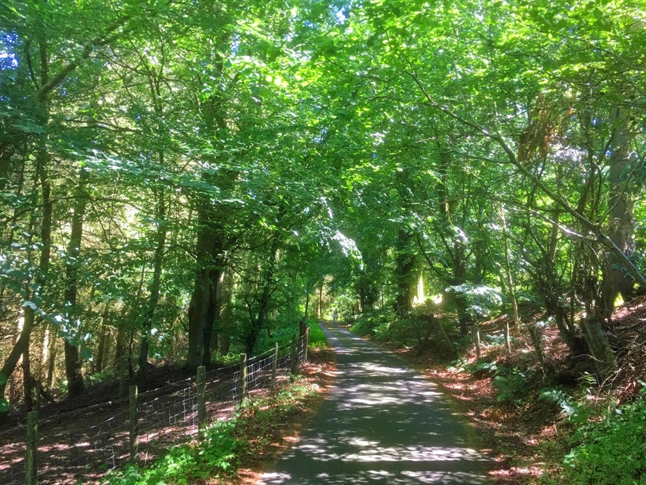 The approach to Drovers Retreat