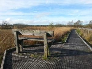 Cors Caron Walking Trails