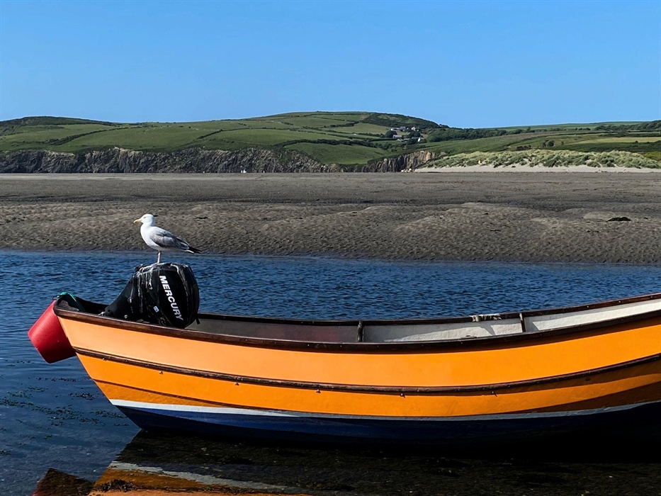 Panoramic Pembrokeshire