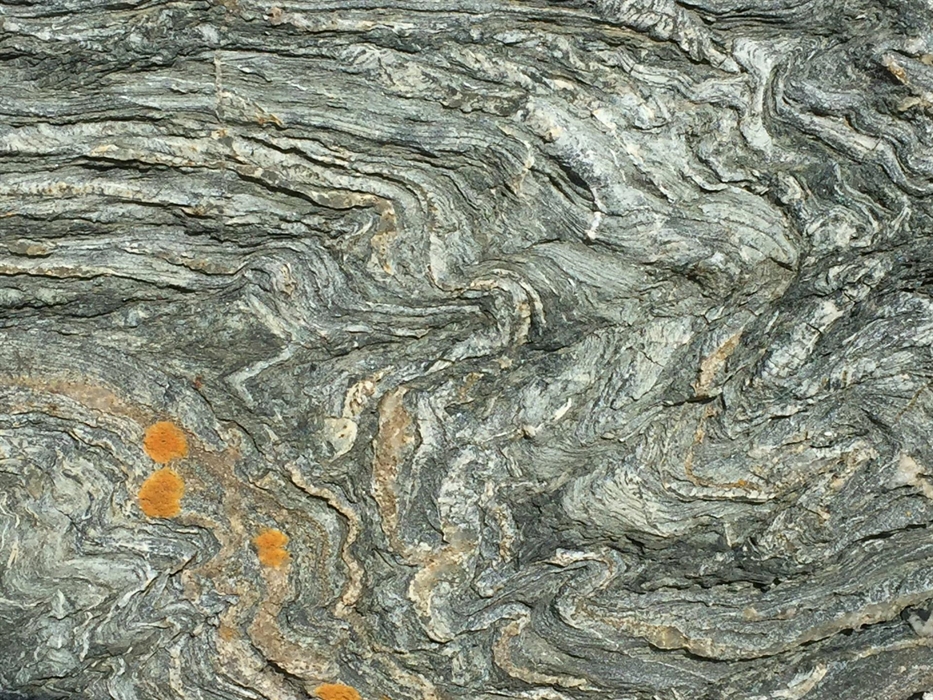 This rock was originally soft mud which underwent extreme compression turning it into green schist - named New Harbour from the locallity where it was