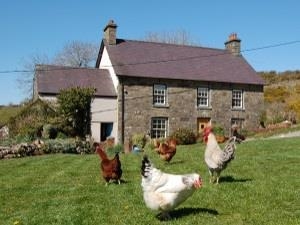 Nantgwynfaen Organic Farm