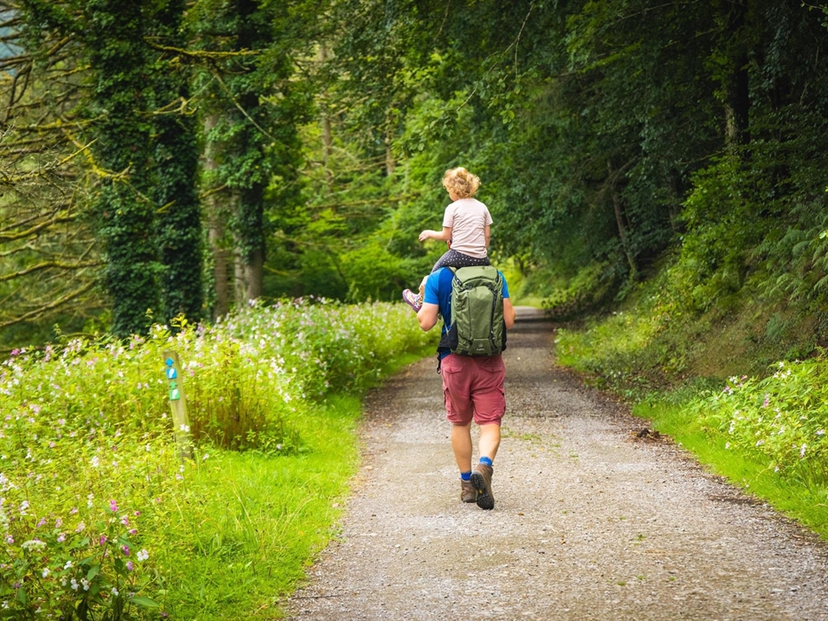Walking in Afan Forest Park