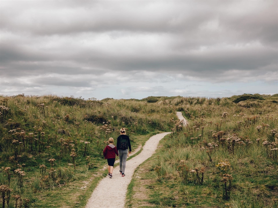 Boardwalk through the dune slacks