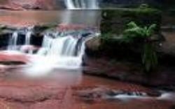 Pwll y Wrach Nature Reserve