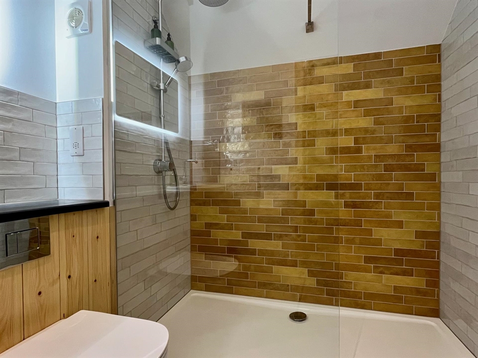 The shower room features a large walk in shower